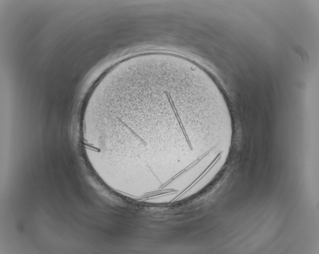 X0000111001511200907311020