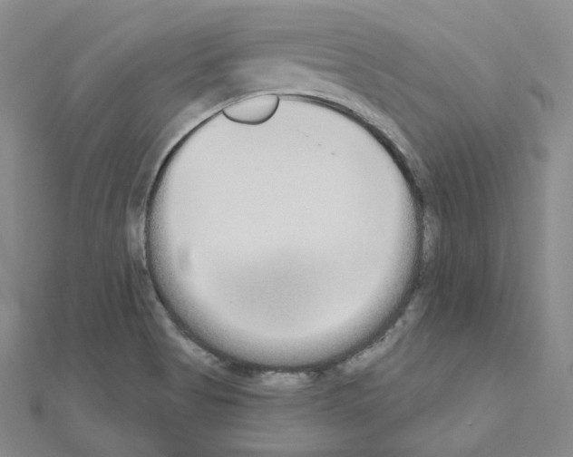 X0000111001513200907311020