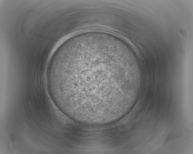 X0000111001514200907311020