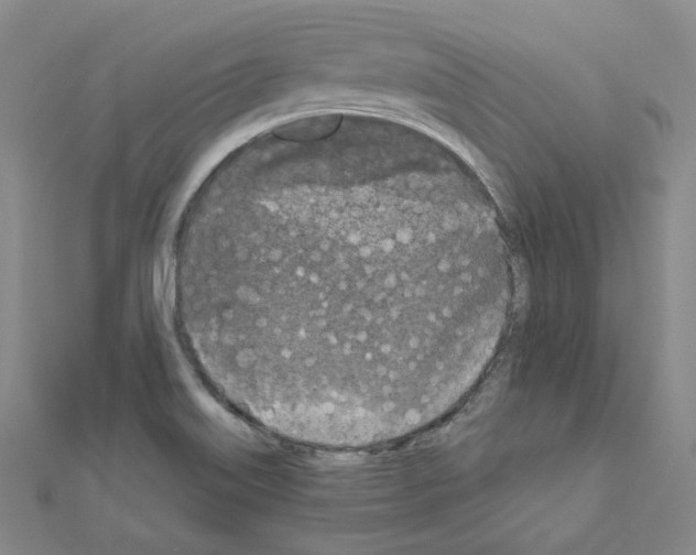 X0000111001515200907311020