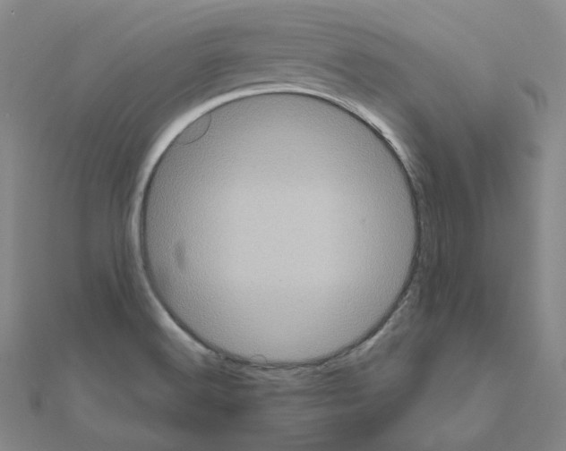 X0000111001516200907311020