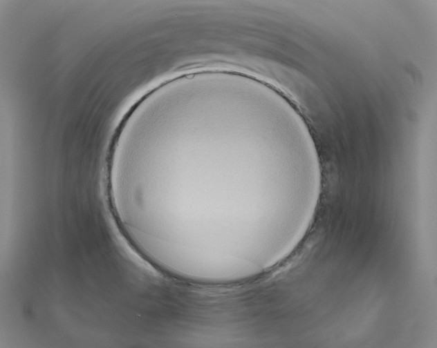 X0000111001518200907311020