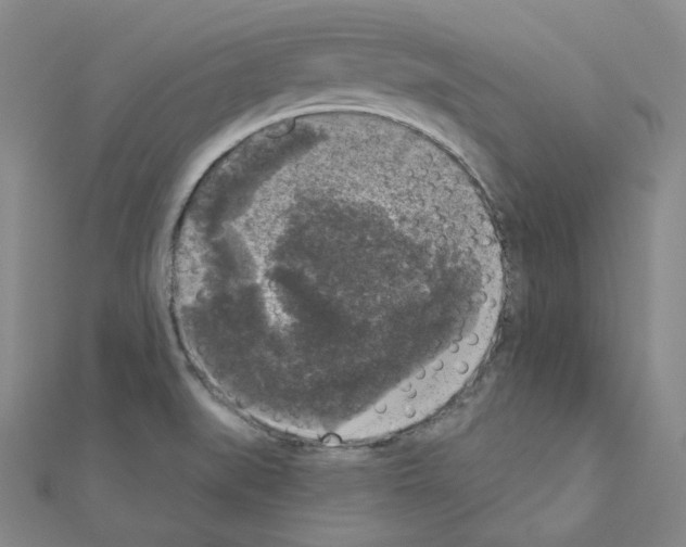 X0000111001519200907311020