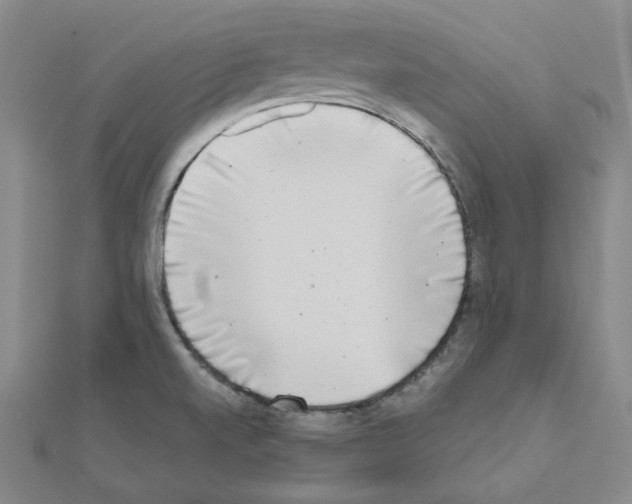 X0000111001520200907311020