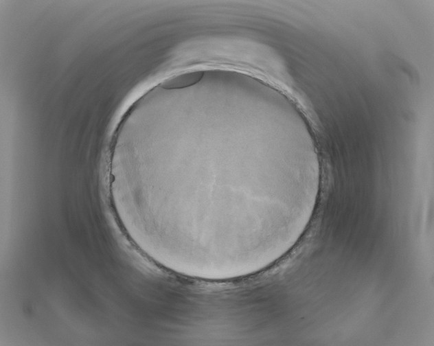 X0000111001522200907311020