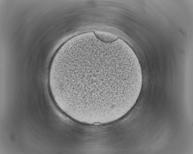 X0000111001523200907311020