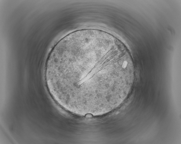 X0000111001525200907311020