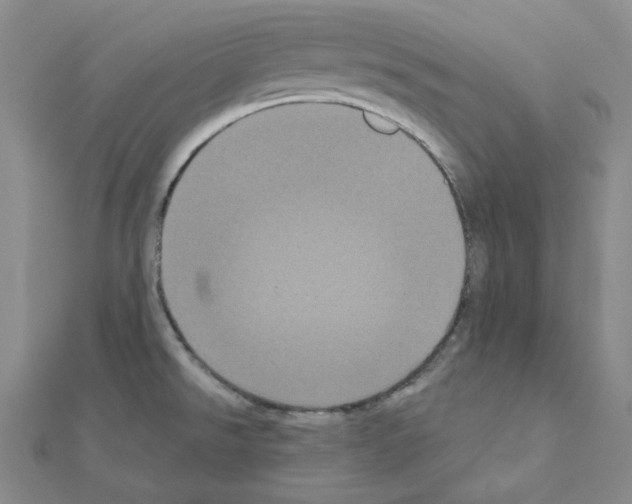 X0000111001526200907311020