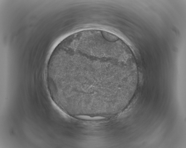 X0000111001527200907311020