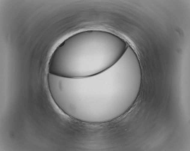 X0000111001528200907311020