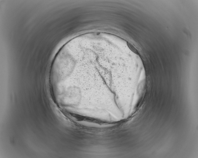 X0000111001530200907311020