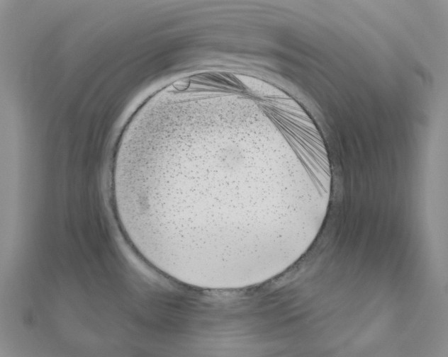 X0000111001531200907311020