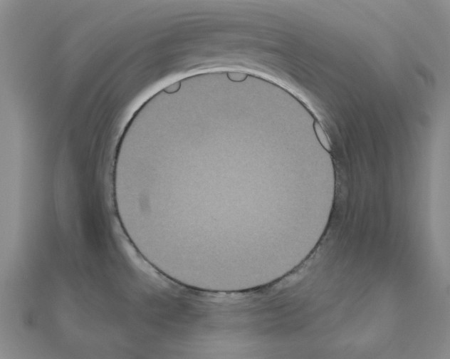 X0000111001534200907311020