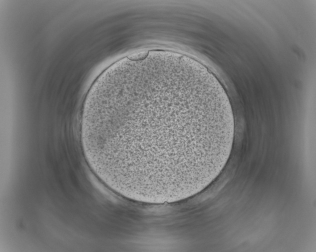 X0000111001535200907311020