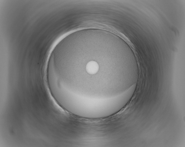 X0000111001536200907311020