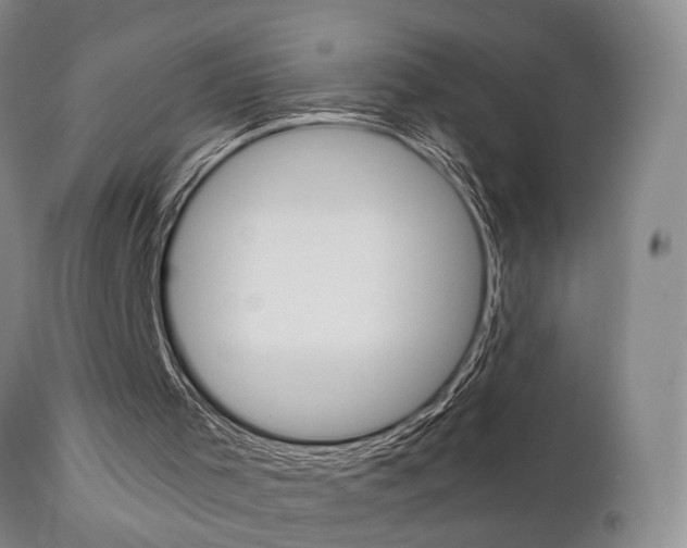 X0000111010001200906191218