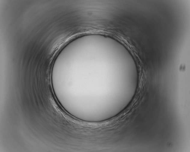 X0000111010002200906191218