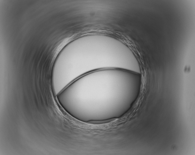 X0000111010003200906191218