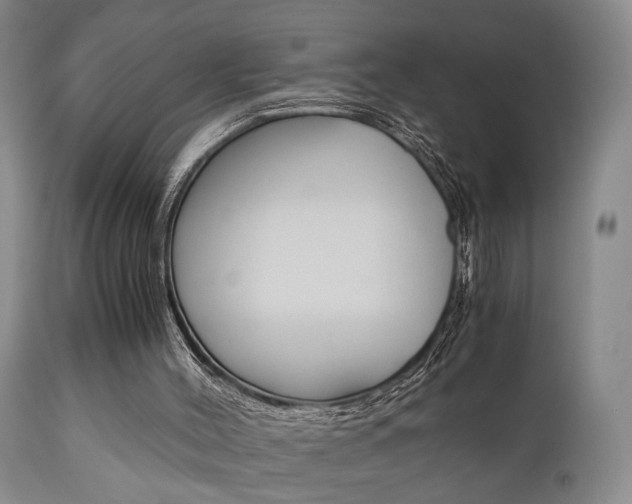 X0000111010004200906191218