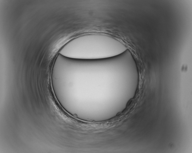 X0000111010005200906191218