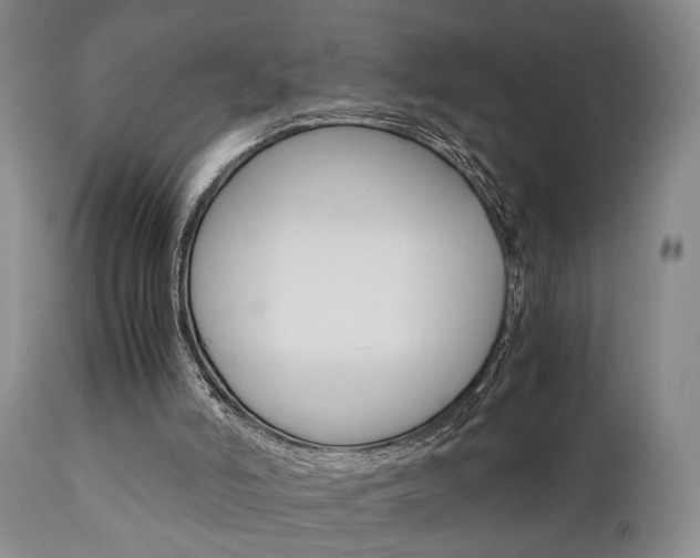 X0000111010006200906191218