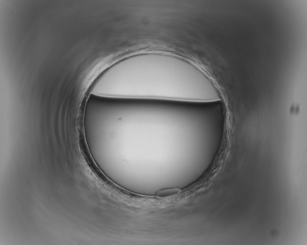 X0000111010007200906191218