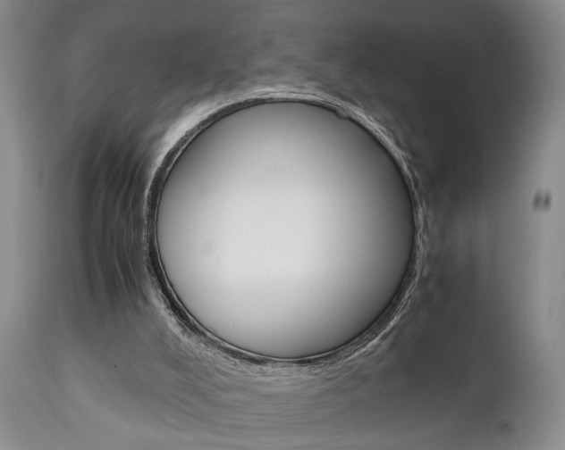 X0000111010008200906191218