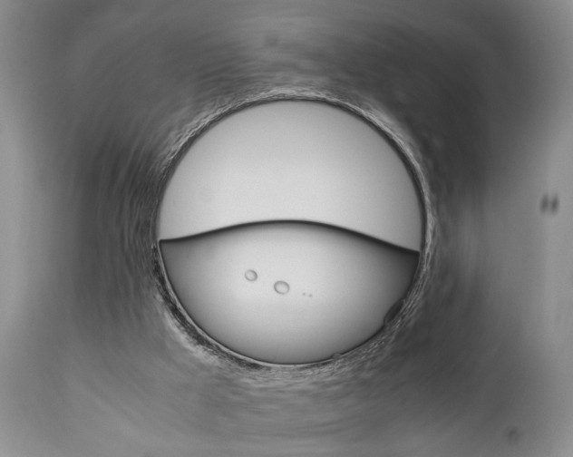 X0000111010009200906191218