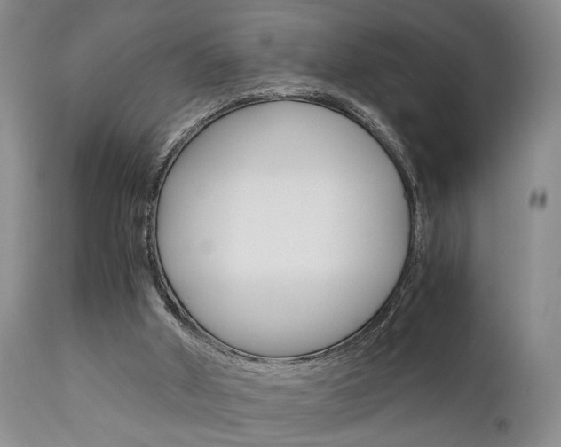 X0000111010010200906191218