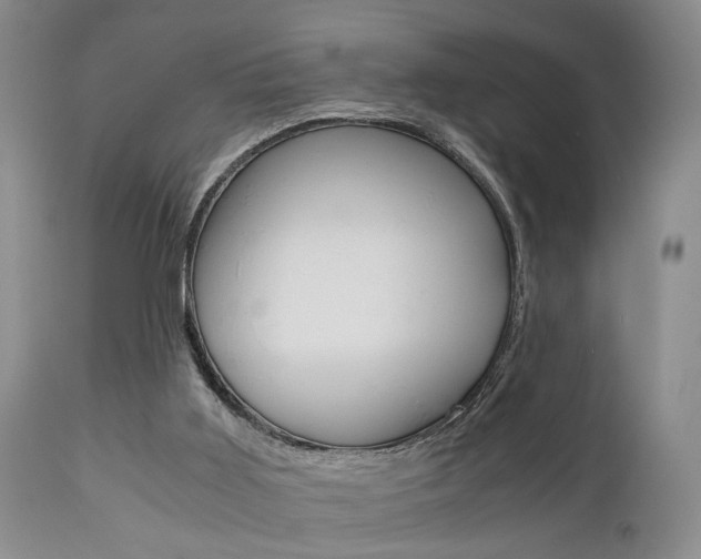 X0000111010011200906191218