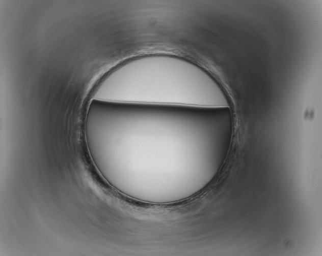 X0000111010012200906191218