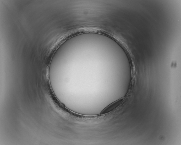 X0000111010013200906191218