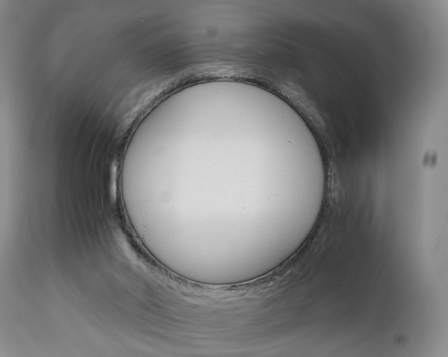 X0000111010014200906191218