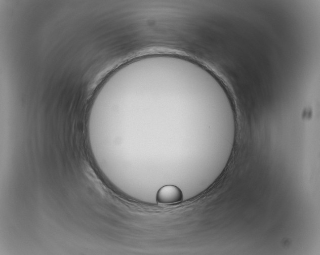 X0000111010015200906191218