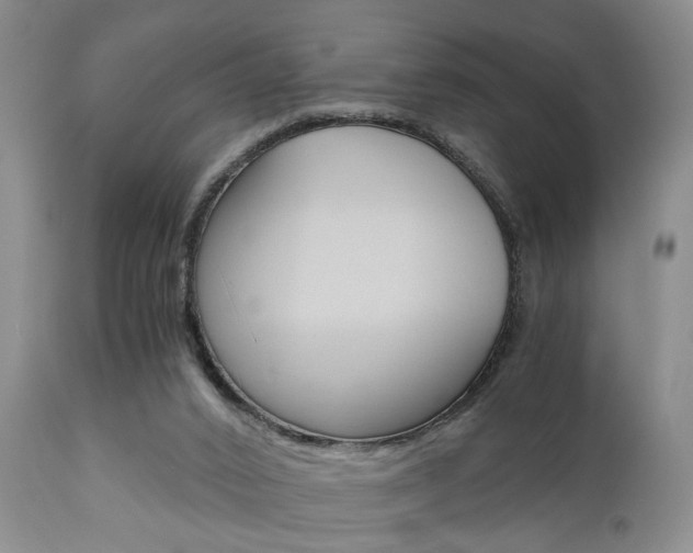X0000111010016200906191218