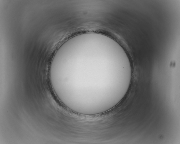 X0000111010018200906191218