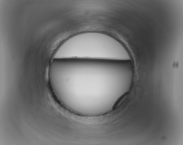 X0000111010019200906191218