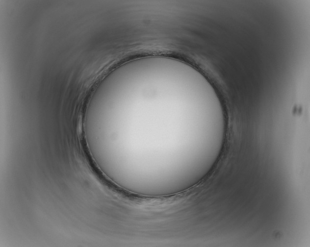 X0000111010021200906191218