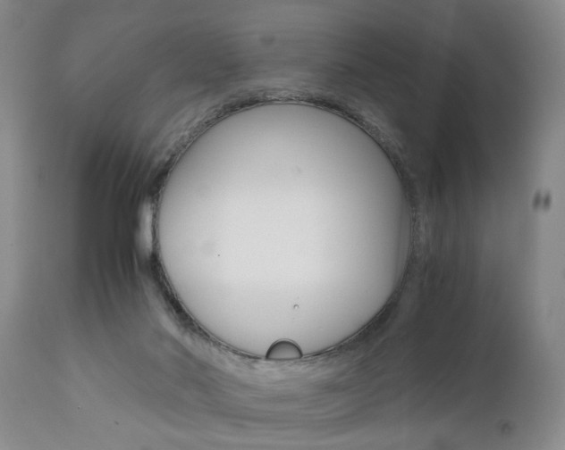 X0000111010022200906191218