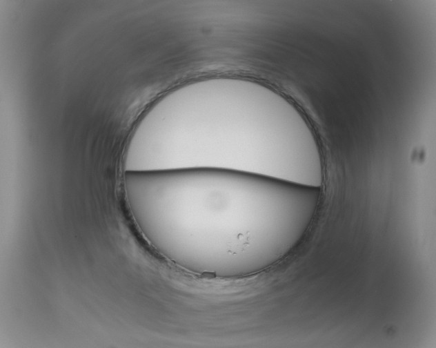 X0000111010023200906191218