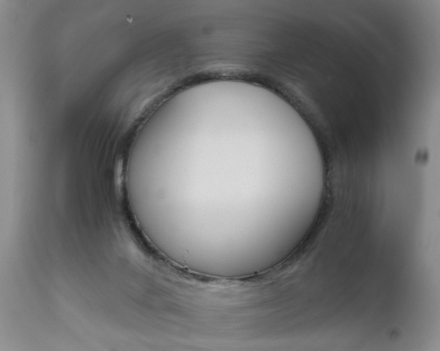 X0000111010024200906191217