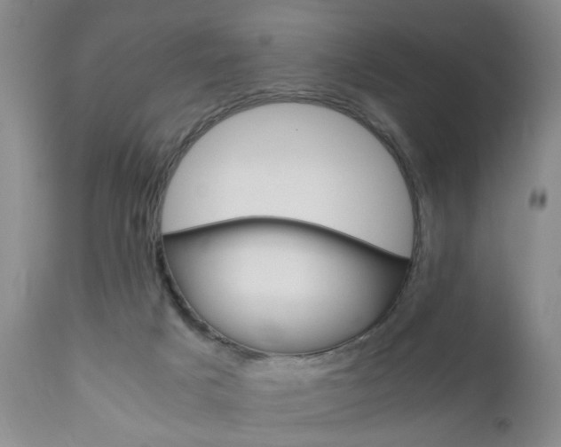 X0000111010025200906191217