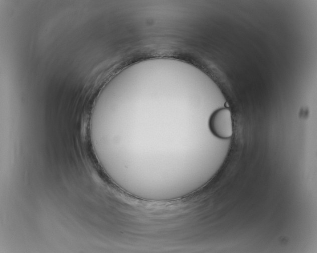 X0000111010026200906191217
