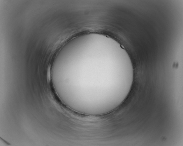 X0000111010028200906191217