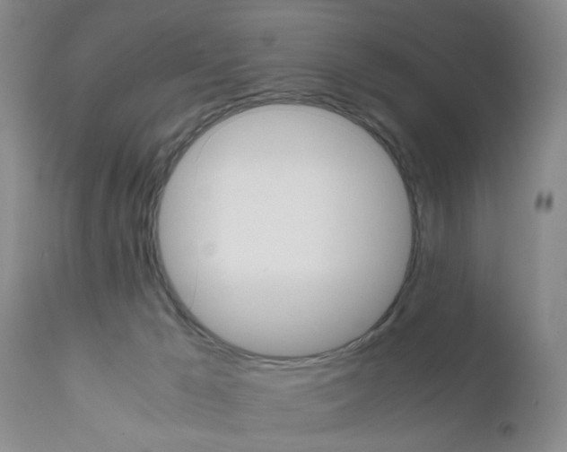 X0000111010029200906191217