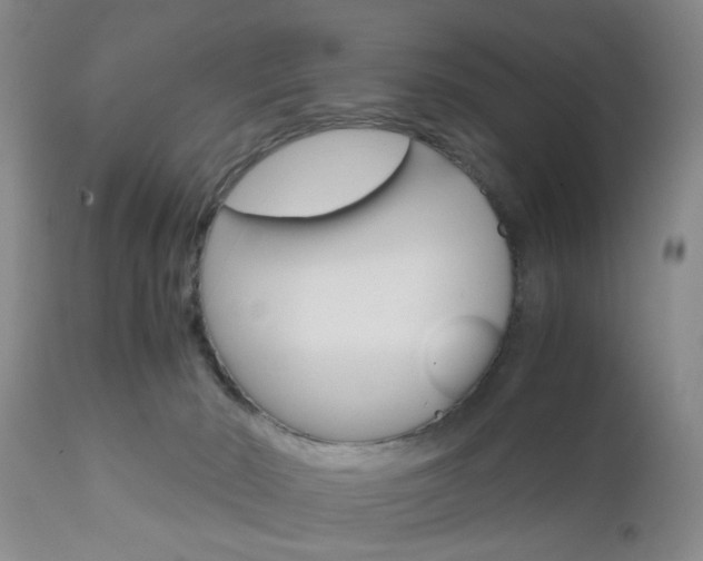 X0000111010030200906191217