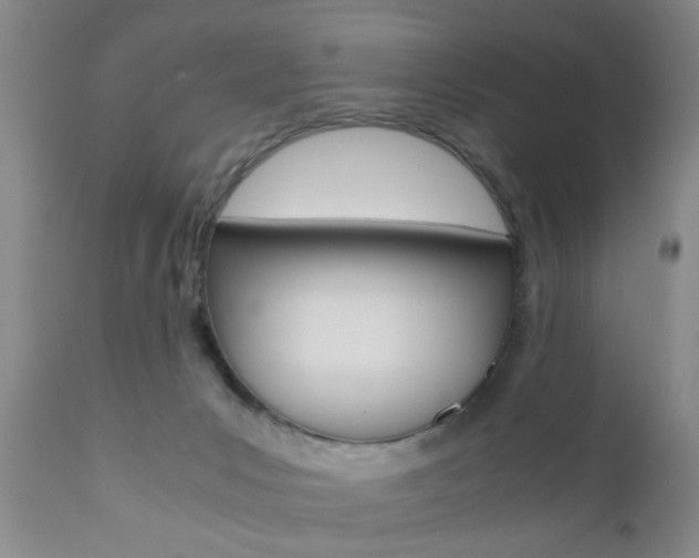 X0000111010031200906191217