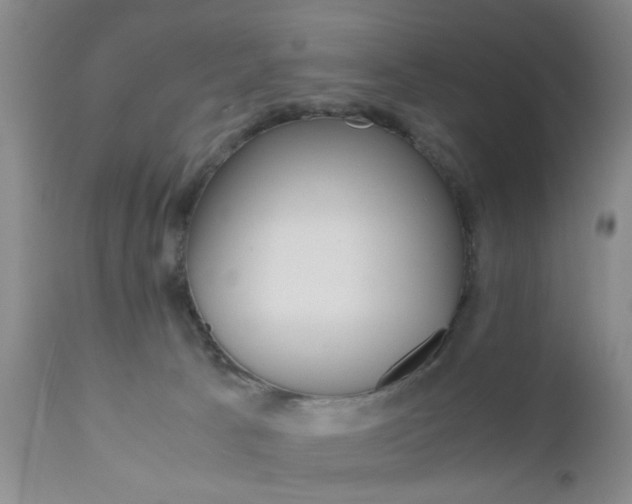 X0000111010033200906191217
