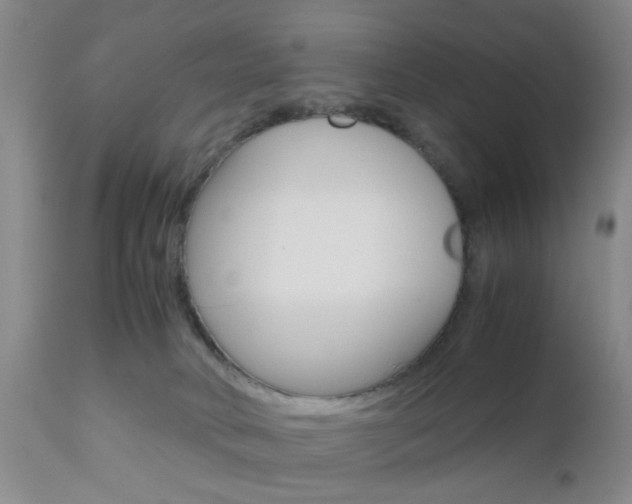 X0000111010034200906191217