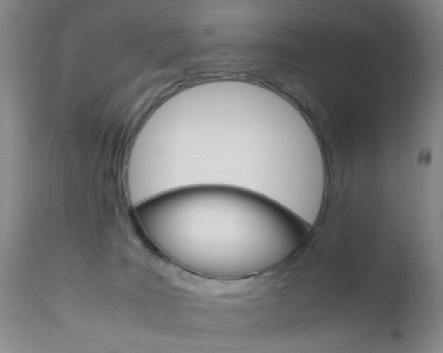 X0000111010035200906191217
